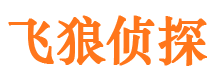 遂宁私人侦探